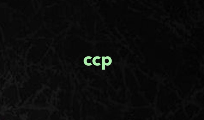 Arti CCP Bahasa Gaul dan Contoh Penggunaannya