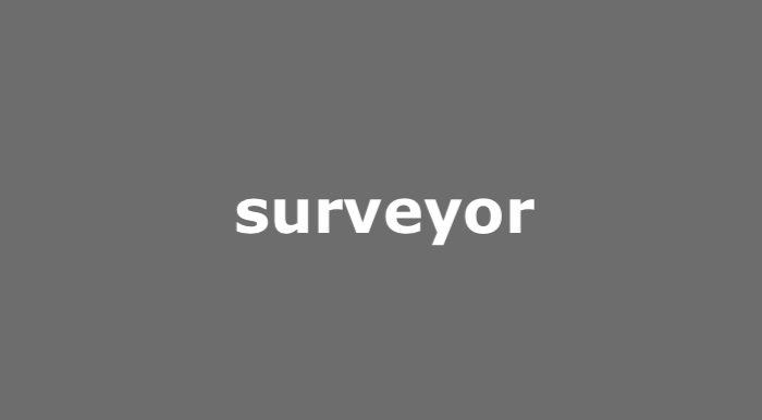 Surveyor Adalah : Pengertian, Jenis, dan Tugasnya