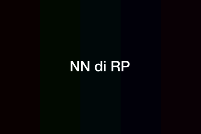 Arti NN di RP (Roleplayer) dan Penjelasannya