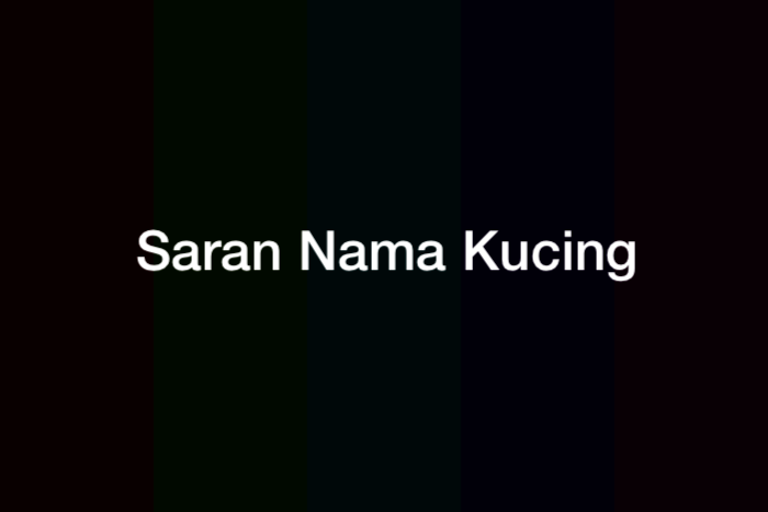 100 Saran Nama Kucing Jantan dan Betina Lengkap