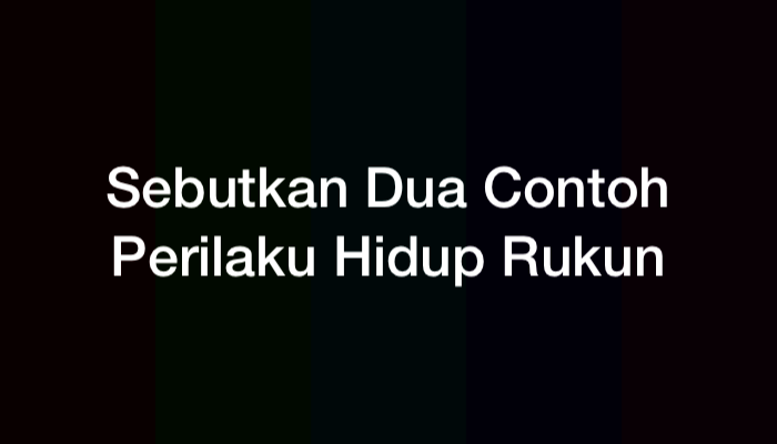Sebutkan Dua Contoh Perilaku Hidup Rukun