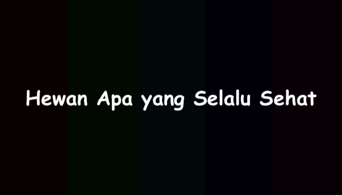 Hewan Apa yang Selalu Sehat