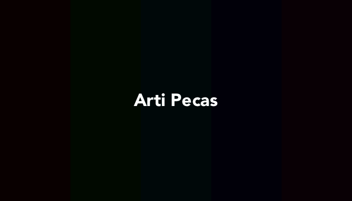 Pecas Artinya dalam Istilah Jual Beli Online