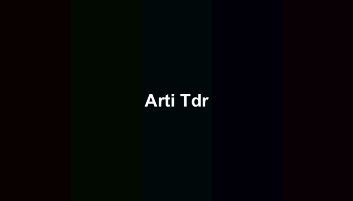 Arti Tdr dalam Bahasa Gaul dan Contoh Penggunaannya