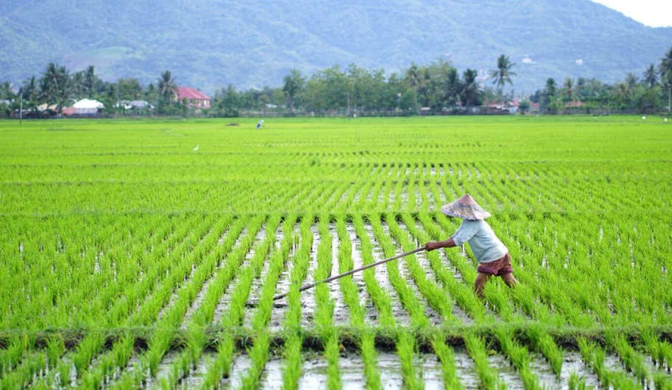 Jelaskan Bentuk Hubungan Manusia dengan Lingkungan Alam