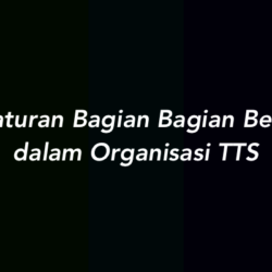 Pengaturan Bagian Bagian Berbeda dalam Organisasi TTS