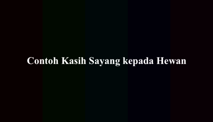 20 Contoh Kasih Sayang kepada Hewan Lengkap