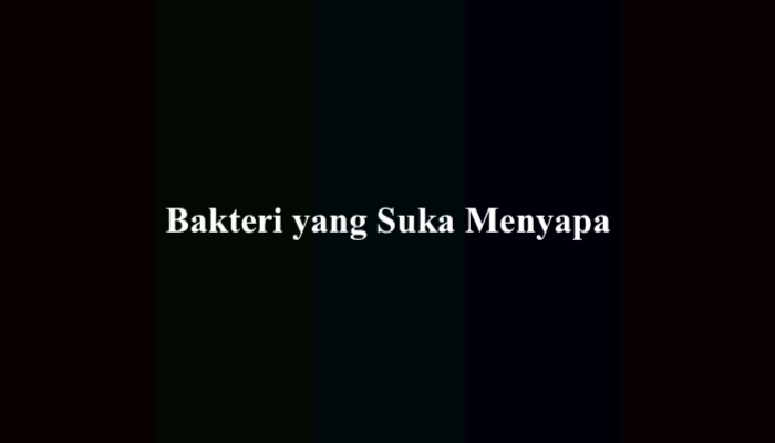 Bakteri yang Suka Menyapa? Jawaban TTS