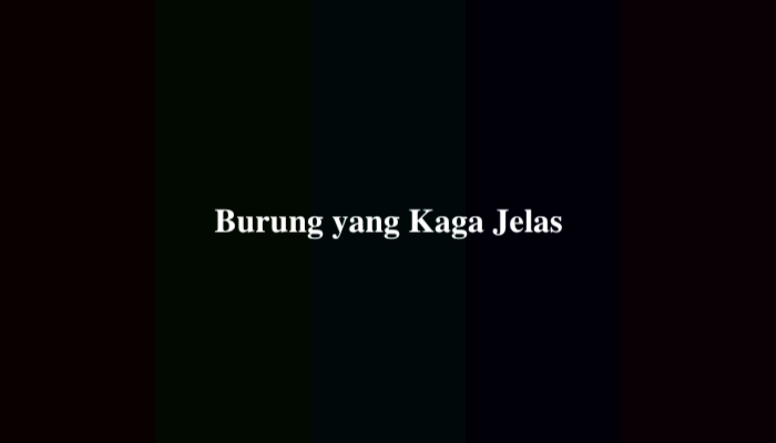 Burung yang Kaga Jelas? Berikut Jawabannya