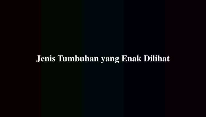 Jenis Tumbuhan yang Enak Dilihat? Ternyata Ini Jawabannya