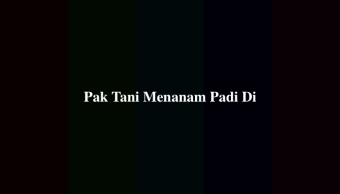 Pak Tani Menanam Padi Di TTS Lontong, Ternyata Ini Jawabannya