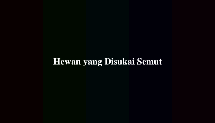 Hewan yang Disukai Semut TTS 11 Huruf dan 5 Huruf