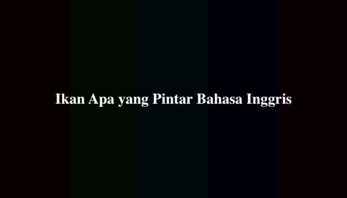 Ikan Apa yang Pintar Bahasa Inggris TTS, Ini Jawabannya