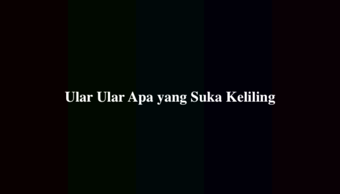Ular Ular Apa yang Suka Keliling? Berikut Jawabannya