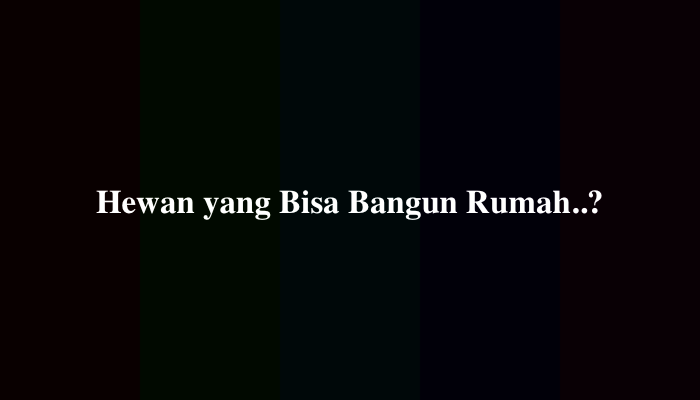 Hewan yang Bisa Bangun Rumah Teka-Teki, Ternyata Ini Jawabannya