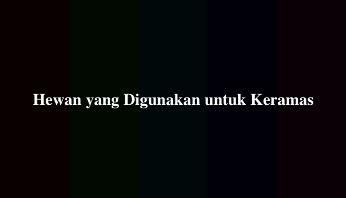 Hewan yang Digunakan untuk Keramas, Ternyata Ini Jawabannya