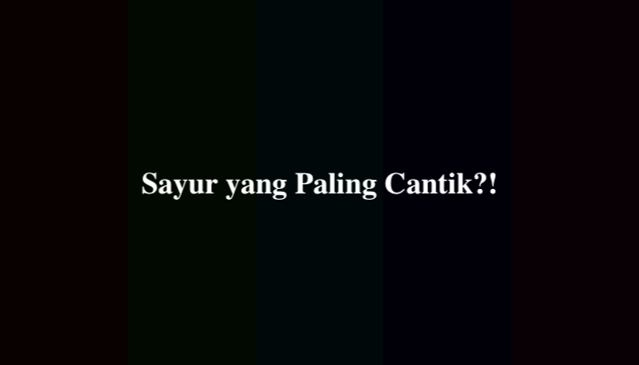 Sayur yang Paling Cantik TTS, Jawabannya Tidak Terduga