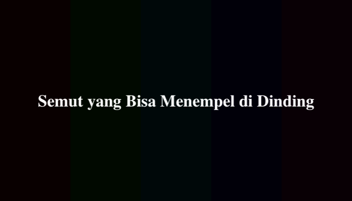 Semut yang Bisa Menempel di Dinding Teka Teki, Ternyata Ini Jawabannya