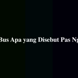 Bus Bus Apa yang Disebut Pas Ngeluh
