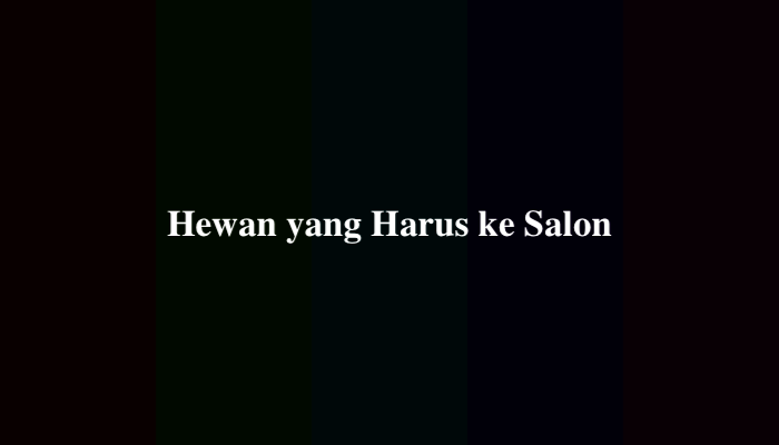 Hewan yang Harus ke Salon, Ternyata Ini Jawabannya