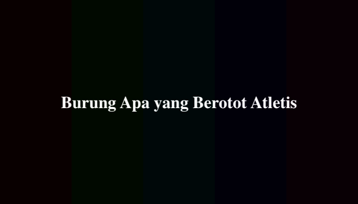 Burung Apa yang Berotot Atletis, Ternyata Ini Jawabannya