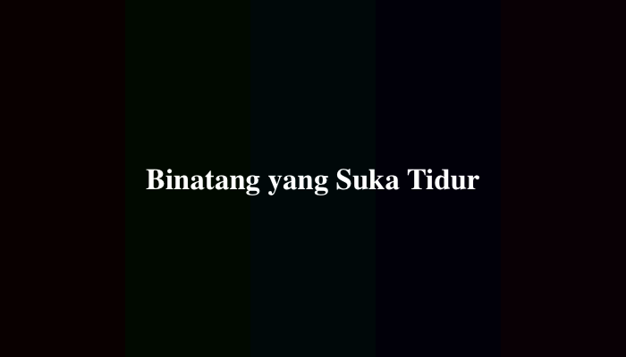 Binatang yang Suka Tidur Tebakan Plesetan, Ini Jawabannya