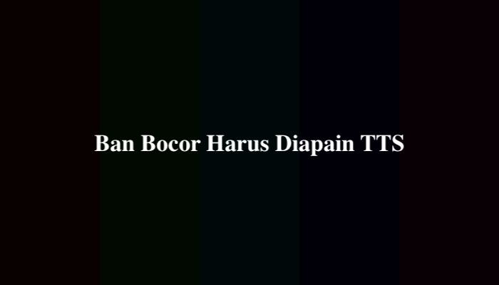 Ban Bocor Harus Diapain TTS, Simak Jawabannya