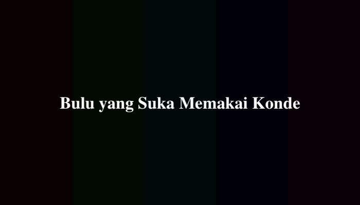 Bulu yang Suka Memakai Konde, Ternyata Ini Jawabannya