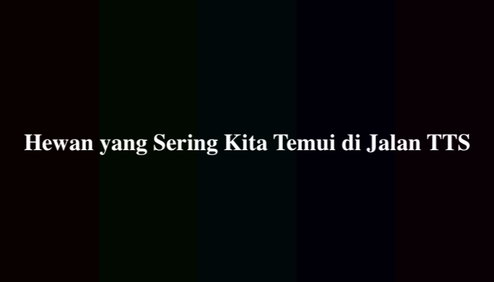 Hewan yang Sering Kita Temui di Jalan TTS, Simak Jawabannya