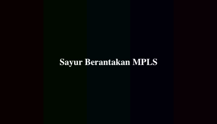 Sayur Berantakan MPLS, Ternyata Ini Jawabannya