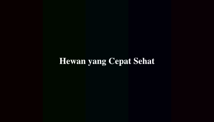 Hewan yang Cepat Sehat, Jawaban TTS yang Benar