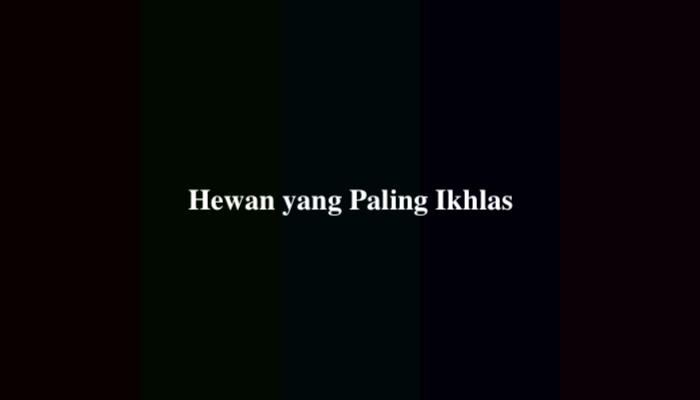 Hewan yang Paling Ikhlas TTS, Simak Jawabannya