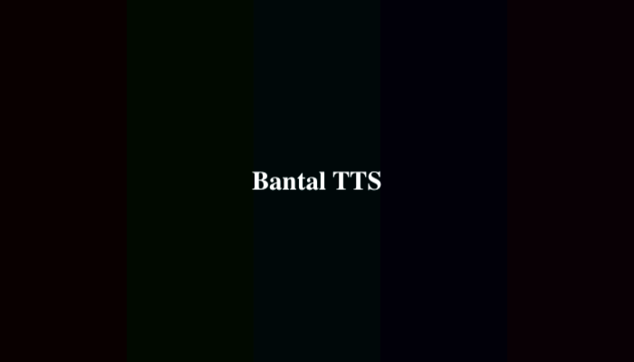 Bantal TTS – Kunci Jawaban Terlengkap