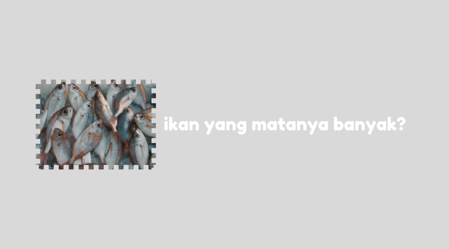 Ikan Ikan Apa yang Matanya Banyak Teka-Teki, Simak Jawabannya