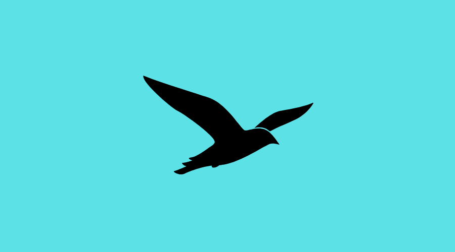 Burung Apa yang Menyeramkan Teka-Teki, Ini Jawabannya