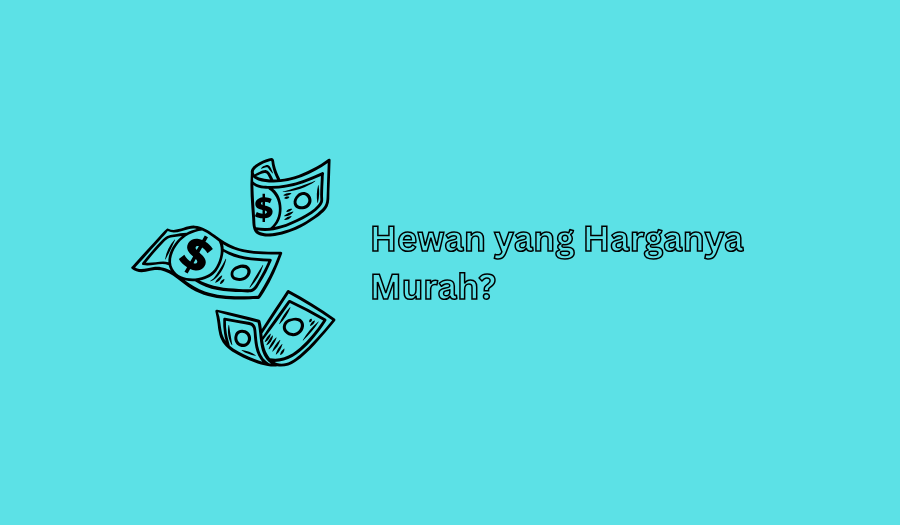 Hewan yang Harganya Murah Teka-Teki, Berikut Jawabannya