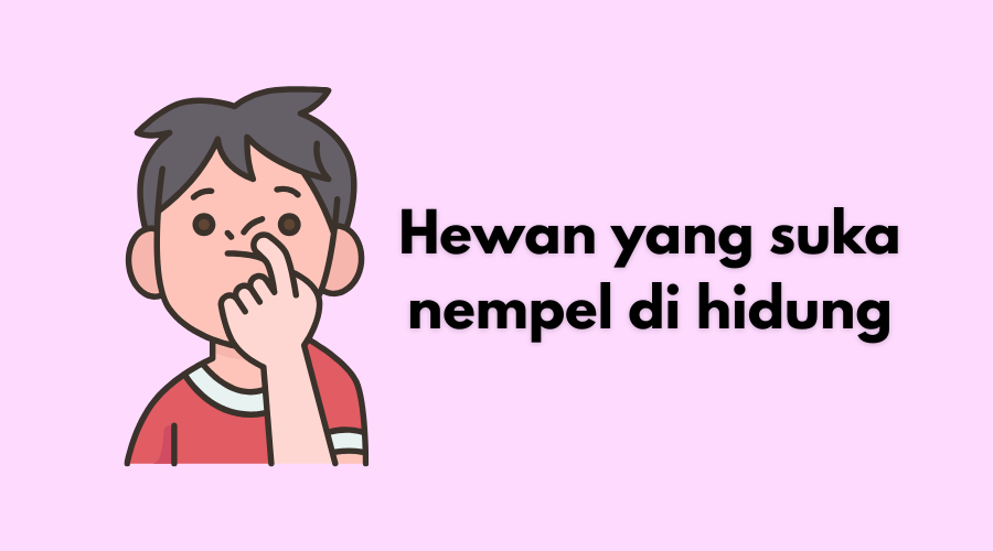Hewan yang Suka Nempel di Hidung, Simak Jawabannya