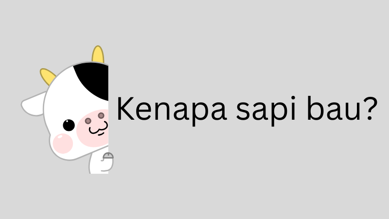 Kenapa Sapi Bau Tebak-Tebakan (Kunci Jawaban)
