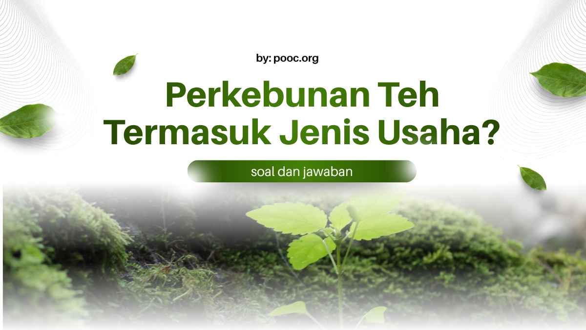 Perkebunan Teh Termasuk Jenis Usaha Apa? Berikut Penjelasannya
